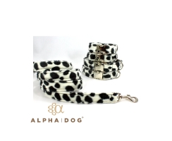 Halsband Dalmatiner