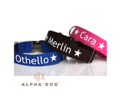 Halsband mit reflektierendem Namen