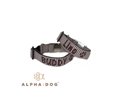 Hundehalsband mit Namen in Neonfarben