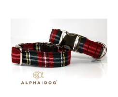 trendiges Welpenhalsband  "Tartan"