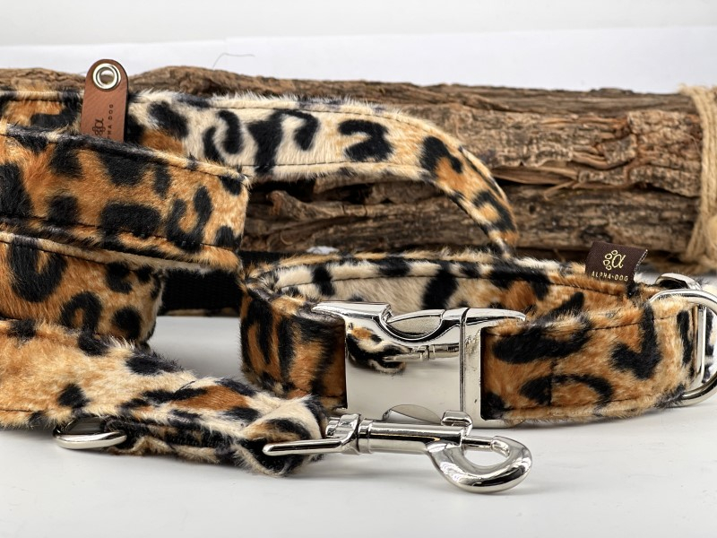 Fellhalsband Leopard 3 cm 40-55 cm Alumi box