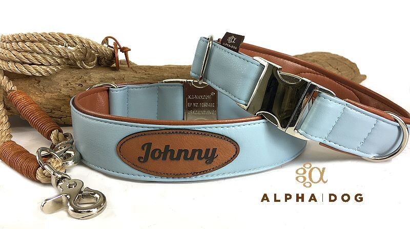 Halsband Suits deluxe hellblau-cognac mit Namen 2,5 cm...