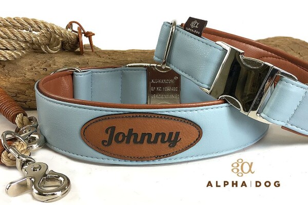 Halsband Suits deluxe hellblau-cognac mit Namen 2,5 cm...