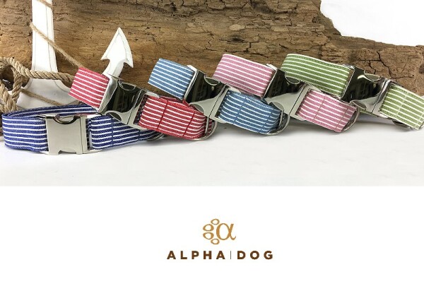 Hundehalsband Baltic Stripes alle Farben 2,5 cm 28-39 cm Aluminium grün