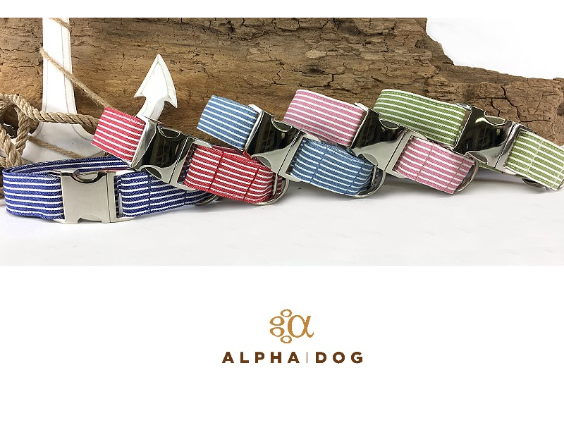 Hundehalsband Baltic Stripes alle Farben box