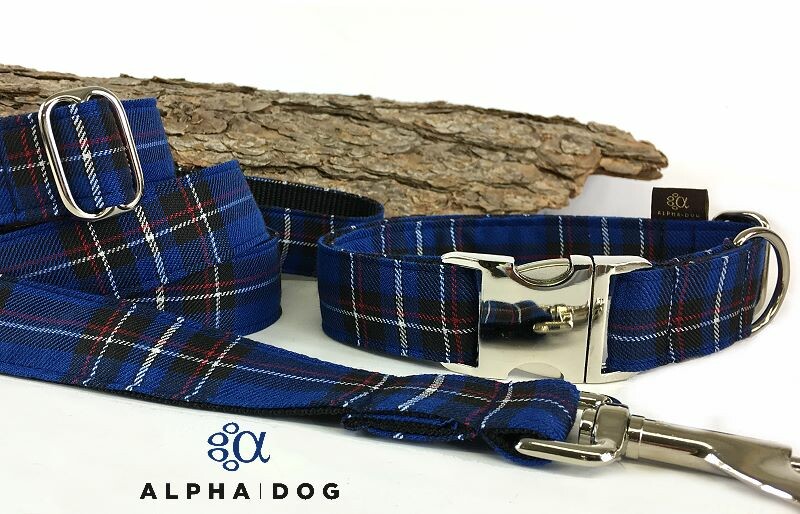 Halsband Schottenkaro royalblau 2 cm 28-39 cm Aluminium