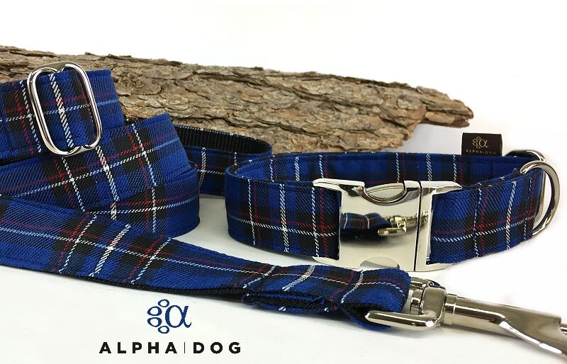 Halsband Schottenkaro royalblau 3 cm 40-55 cm Aluminium