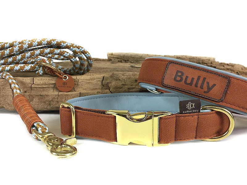 Halsband Canvas sienna Kunstleder unterl box