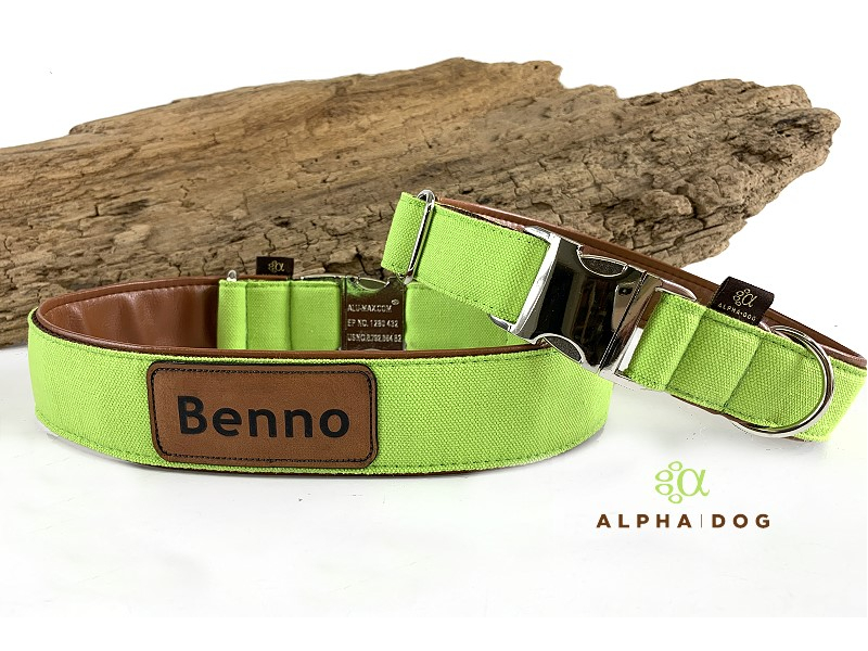 Halsband Canvas lemon mit Namenslabel un box