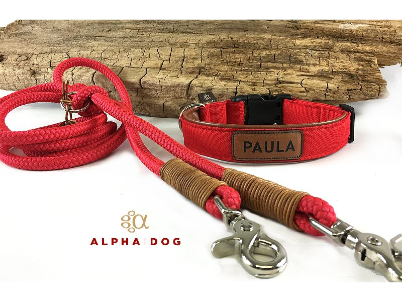Halsband Canvas rot mit Namenslabel und  box