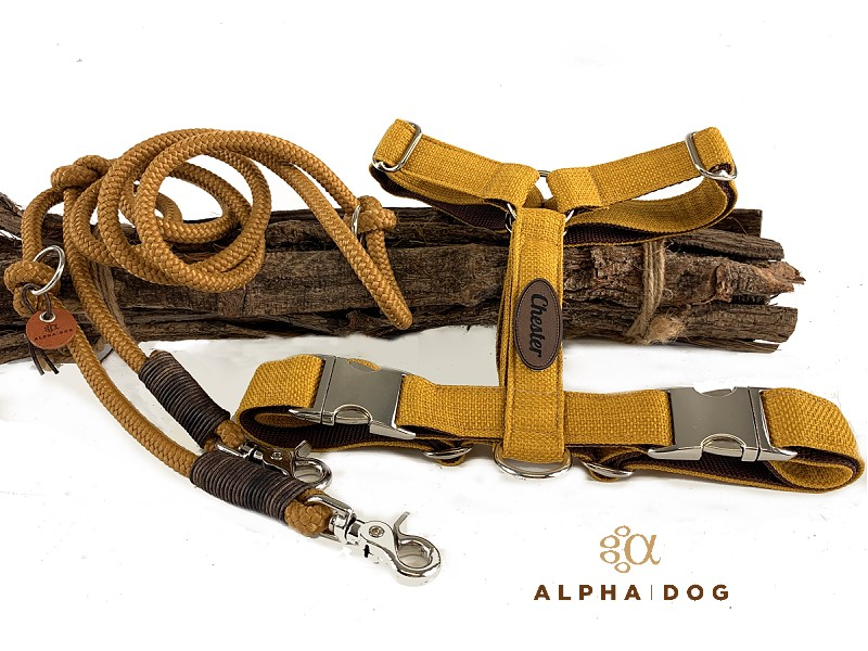 Brustgeschirr "my lovely colours&qu box