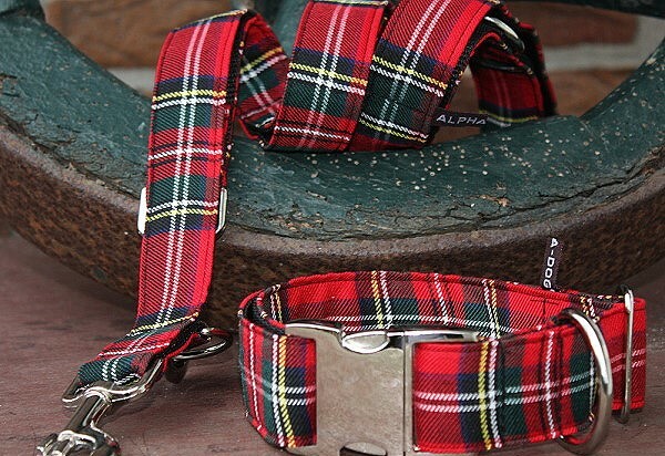 Hundeleine Tartan - Schottenkaro City 120 cm 2 cm