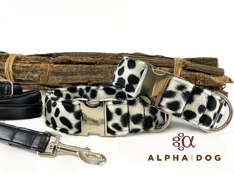 Halsband Dalmatiner 3 cm 50-78 cm Alumin box