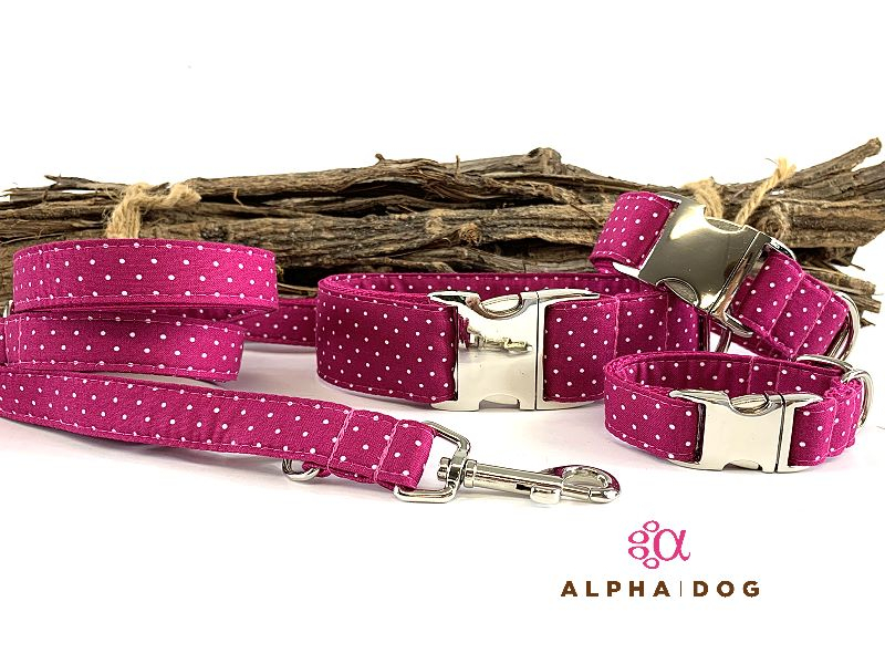 Hundehalsband  " Lots of Dots &quot box