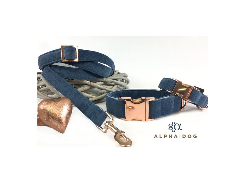 Hundeleine Velvet dust blue Comfort 200  box