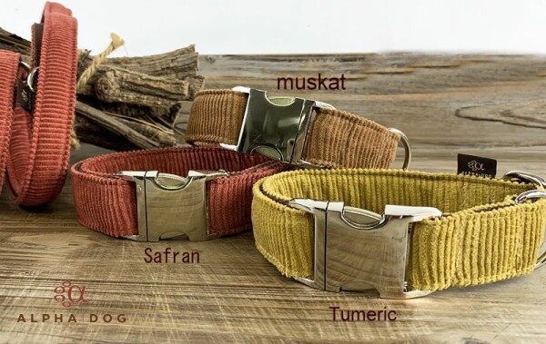Hundehalsband Young-Cord - 3 tolle Farben 2 cm 28-39 cm Kunststoff safran