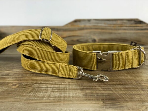 Hundehalsband Young-Cord - 3 tolle Farben 2,5 cm 28-39 cm Aluminium safran