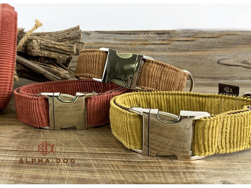 Hundehalsband Young-Cord - 3 tolle Farbe box