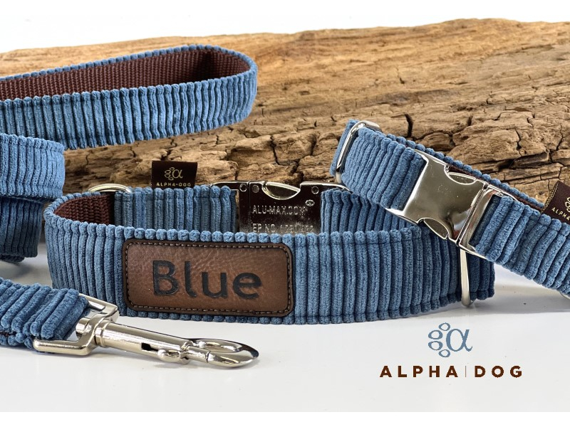 Halsband Cord Denimblue mit Namenspatch box