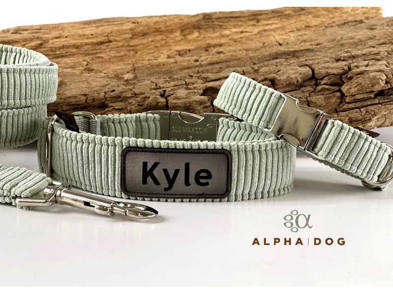 Halsband Beachhouse mit Namenspatch 2 cm box