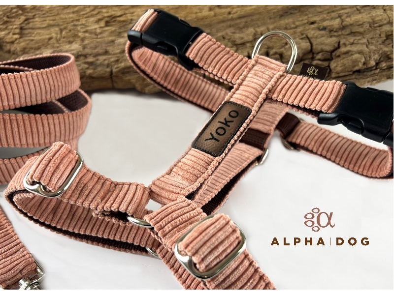 Brustgeschirr Cord Coral Powder mit Name box