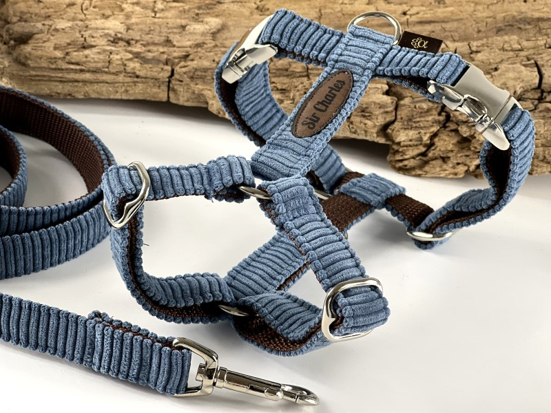 Brustgeschirr " Denimblue Cord &quo box