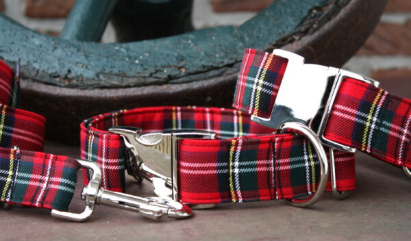 Tartan - Schottenkaro-Halsband 2 cm 20-28 cm Aluminium