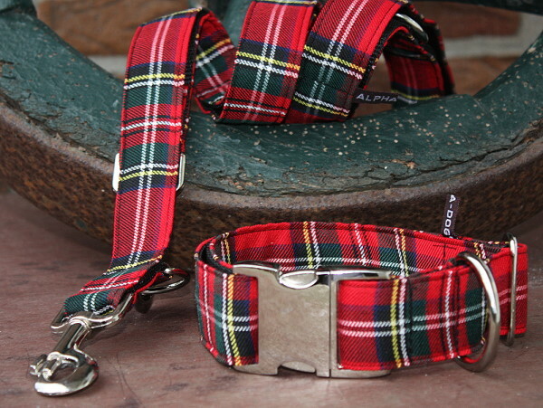 Tartan - Schottenkaro-Halsband 2 cm 20-28 cm Aluminium