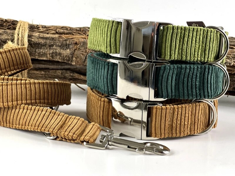Hundehalsband Cord in drei tollen Farben