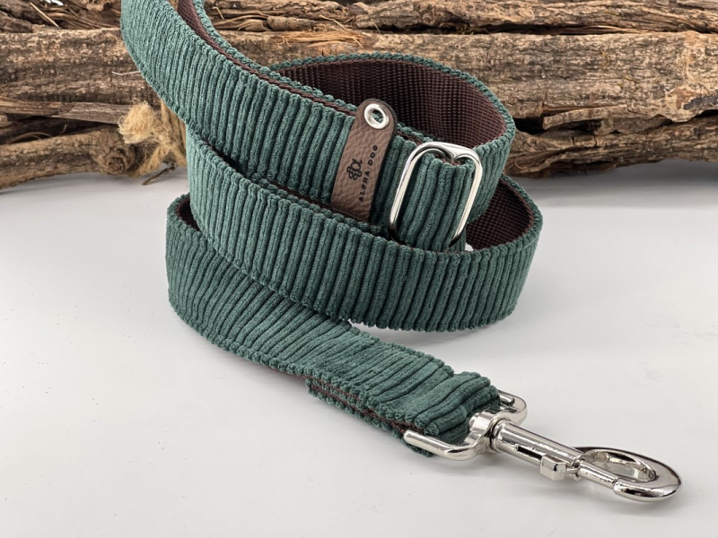 Hundeleine Cord Petrol box