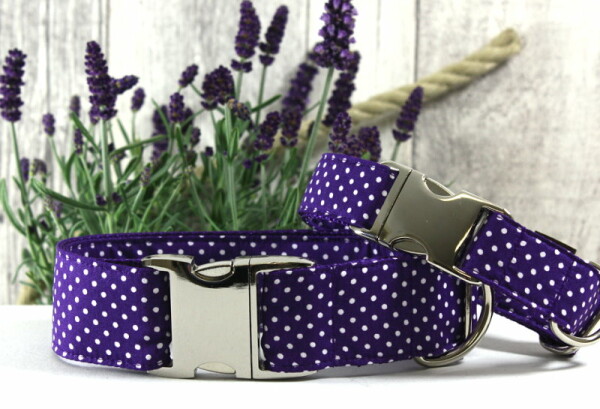 Hundehalsband  " Lots of Dots " violett