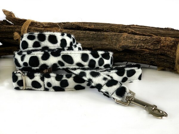 Hundeleine Dalmatiner 3 cm Comfort 200 cm