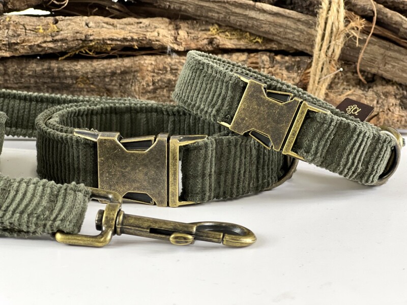 Hundehalsband Young-Cord oliv mit Antik-Messing  Verschluss