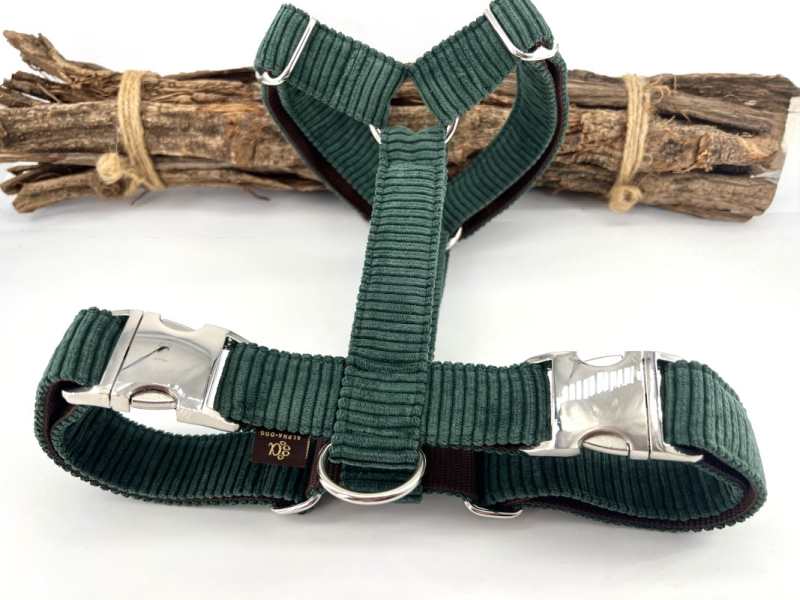 Brustgeschirr Cord petrol box