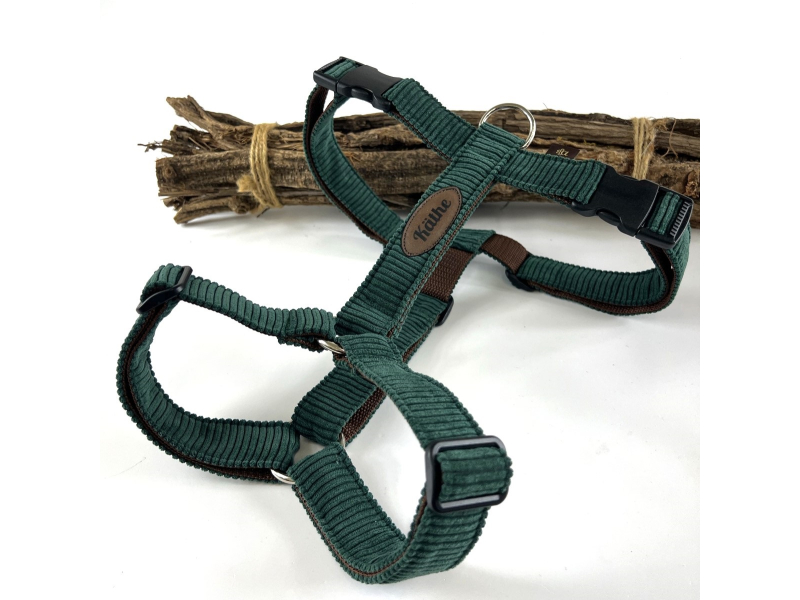 Brustgeschirr Cord Petrol  mit Namen box