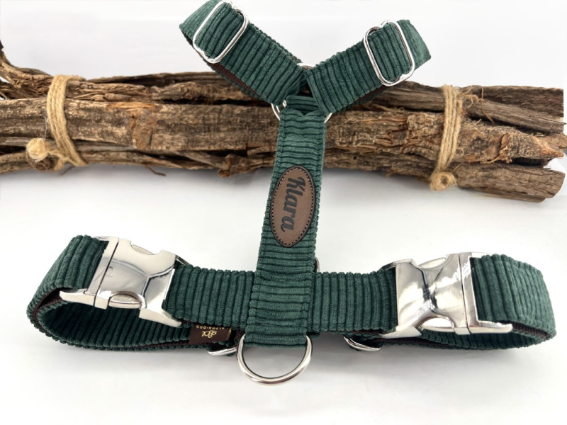 Brustgeschirr Cord Petrol  mit Namen box