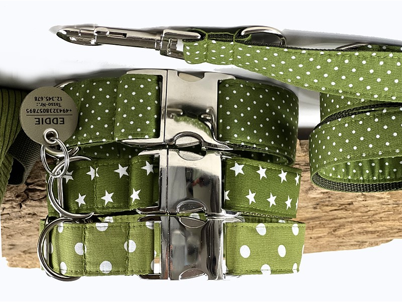 Hundehalsband  Kollektion  cardamom gr&u box