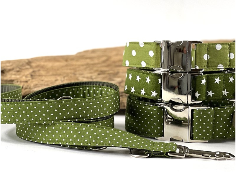 Hundeleine Kollektion cardamom grün box