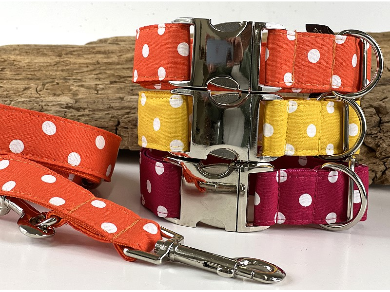 Hundehalsband " Rock the dots &quot box