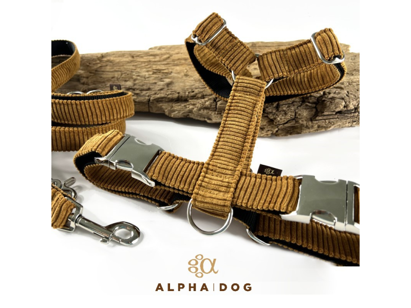 Brustgeschirr Salty Caramel 3 cm 90-100  box