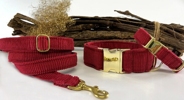 Hundehalsband Young-Cord rubinrot mit Messingverschluss 2 cm 20-28 cm