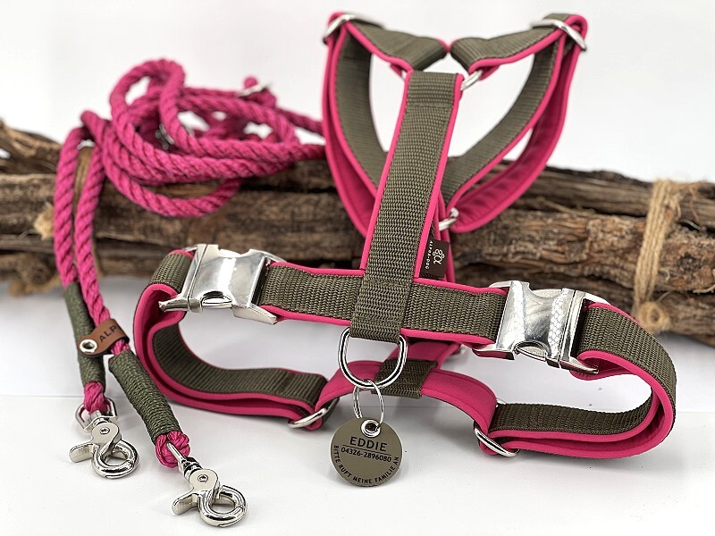 Hundegeschirr SOFTLINE mit Softshell gepolstert oliv-pink