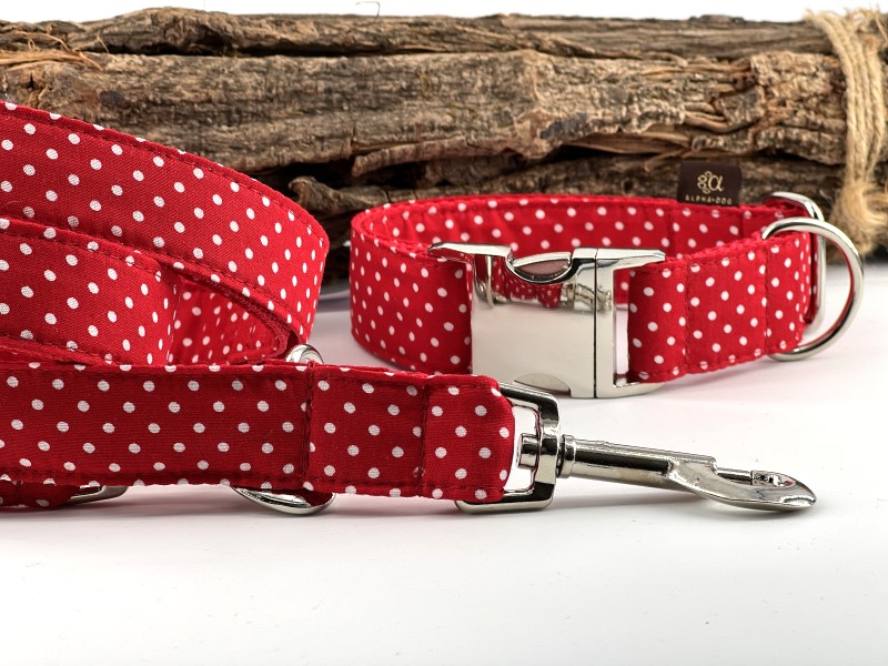 Hundehalsband  " Lots of Dots &quot box