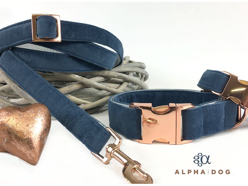Hundehalsband Velvety dust blue 2,5 cm 2 box