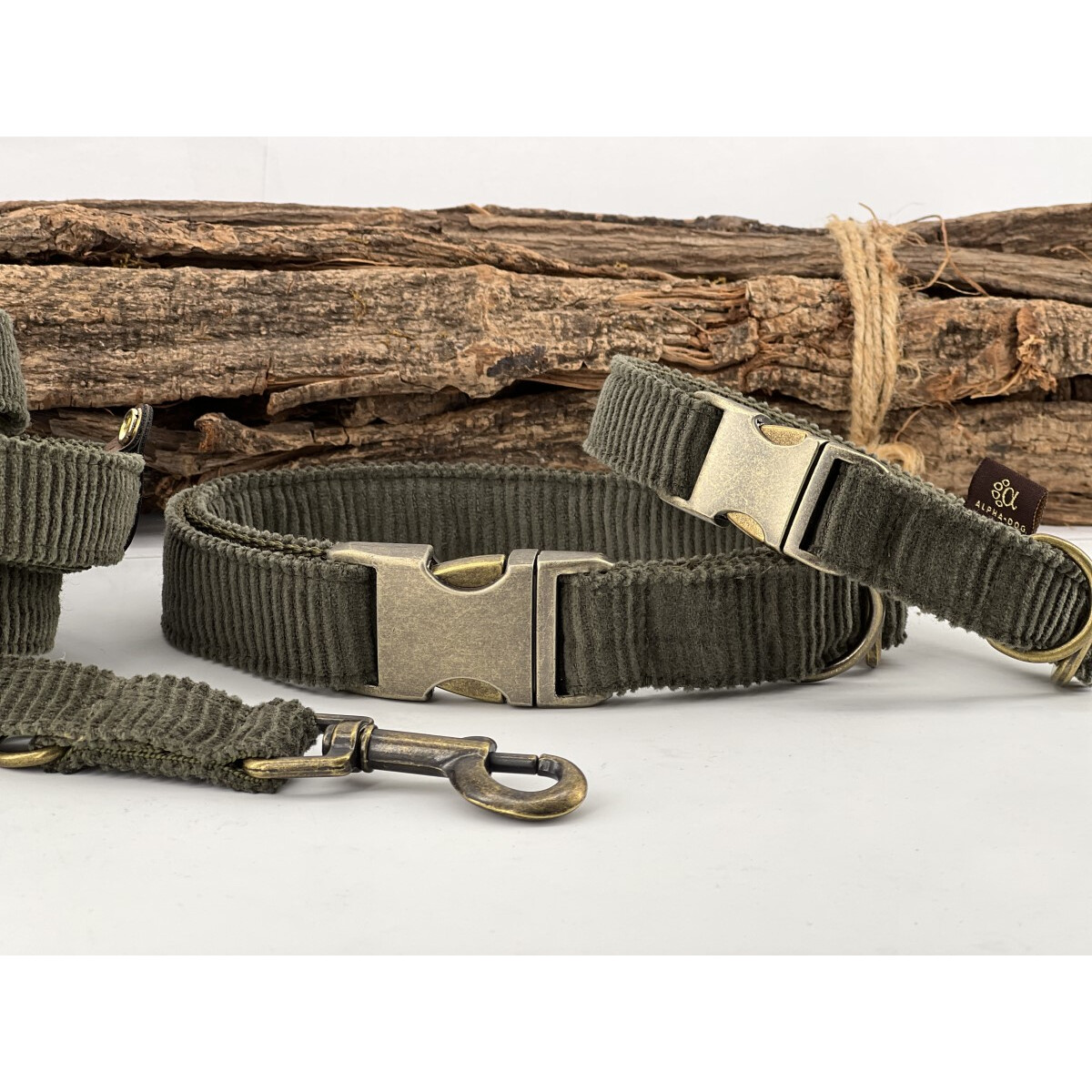 Hundehalsband Young-Cord oliv mit Antik- box