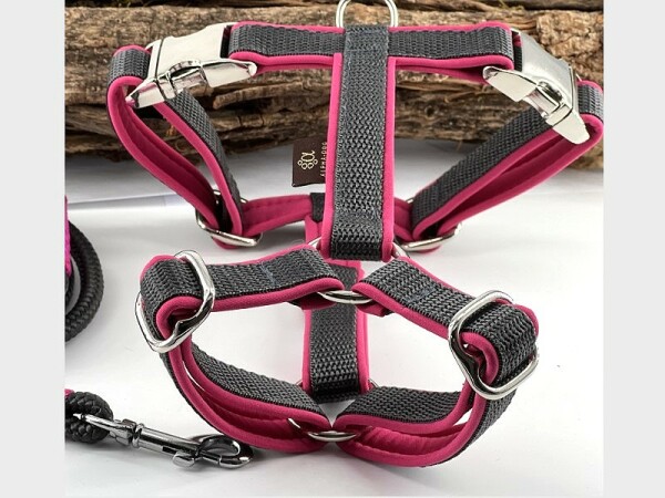 Hundegeschirr SOFTLINE mit Softshell gepolstert anthrazit-pink