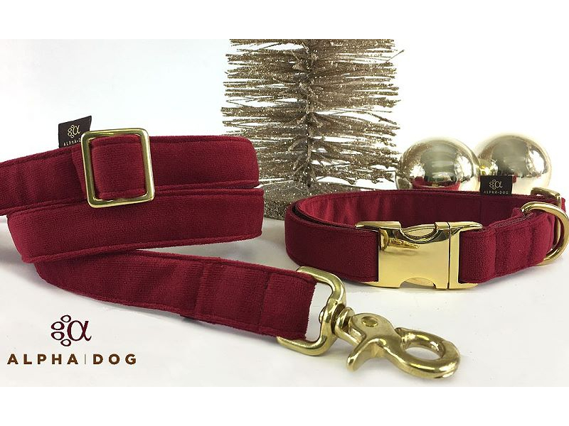 Hundeleine Santa Dogs Comfort 200 cm  2  box