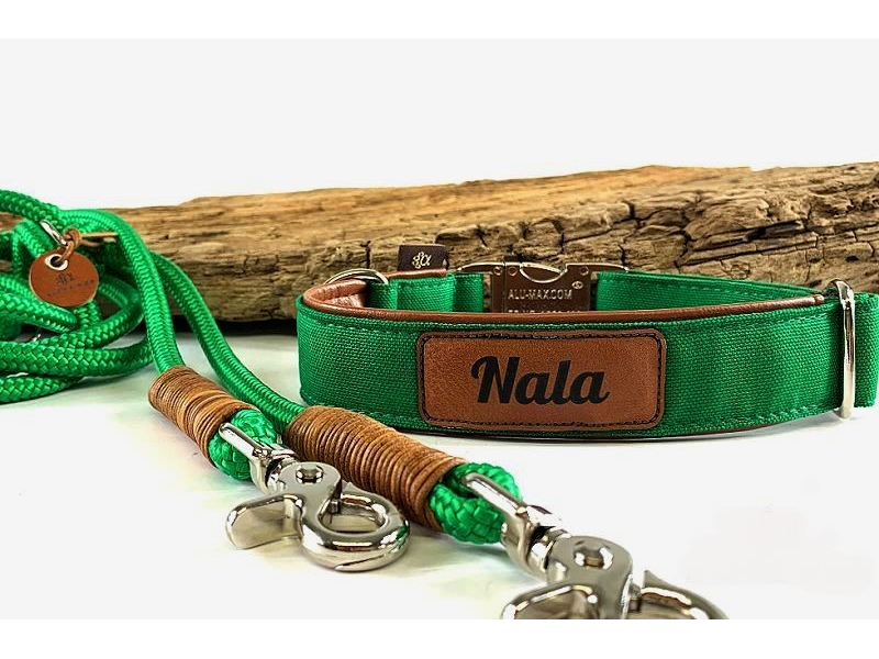 Halsband Canvas minzgrün mit Kunstl box