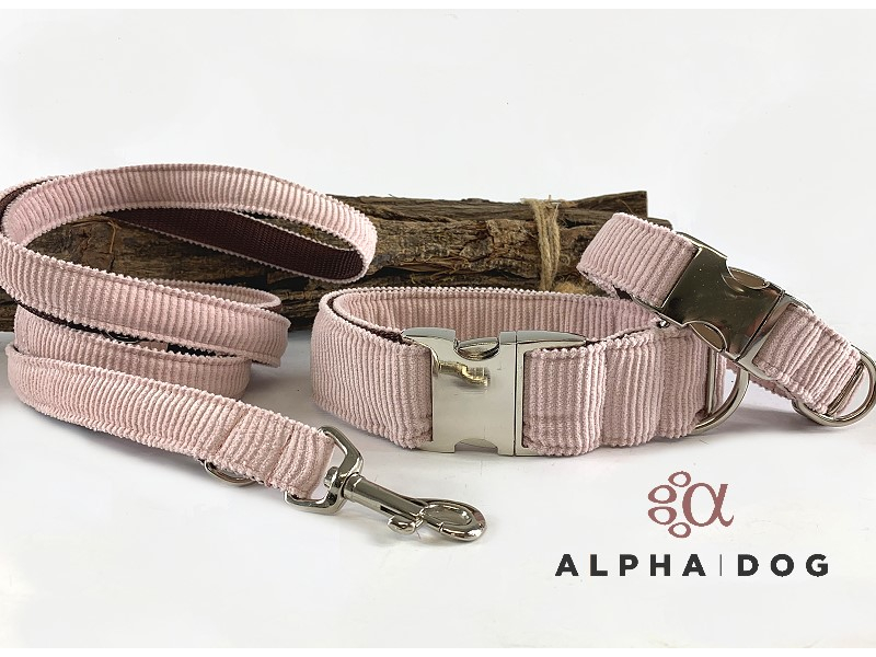 Hundeleine Cord powder Alpha-Vario 150 c box