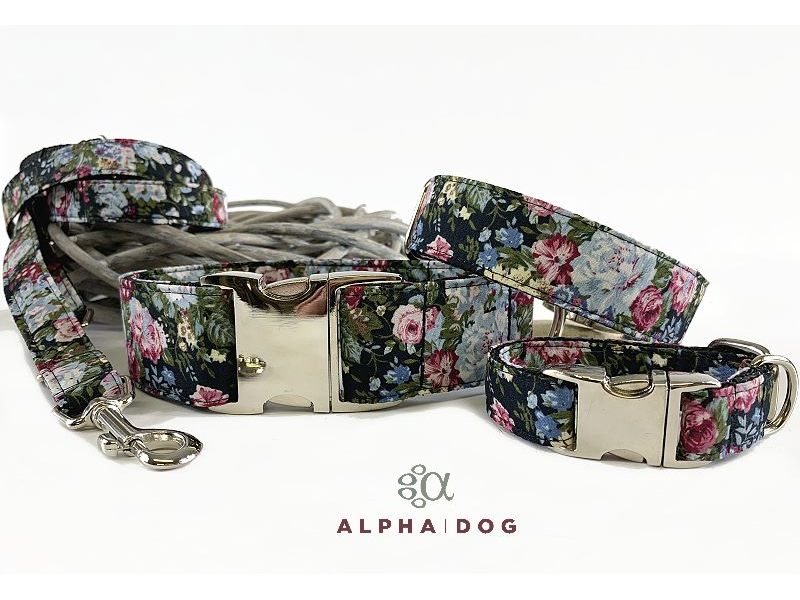 Hundehalsband  Endless Summer 2,5 cm 28- box